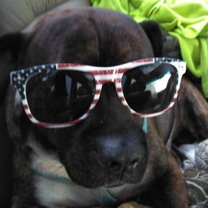 Meet your Posher, Mark